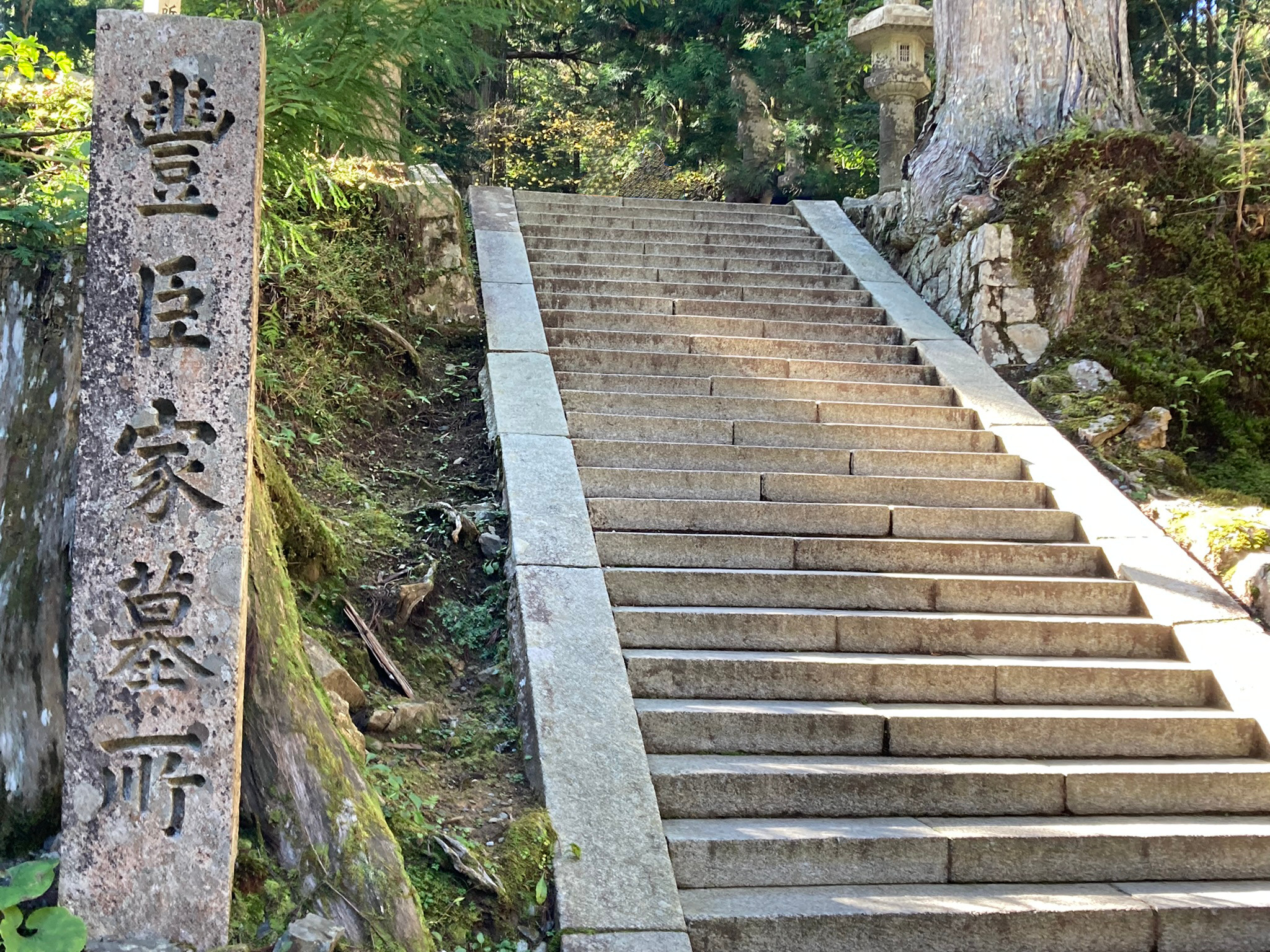 支援の森